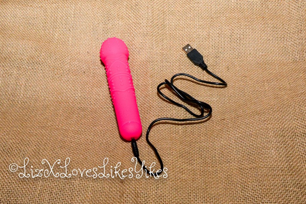 7 Speed Magic Wand Cactus - FAAK Review by LizX The vibrator and its USB charging cable