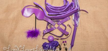 BDSM Set – Purple