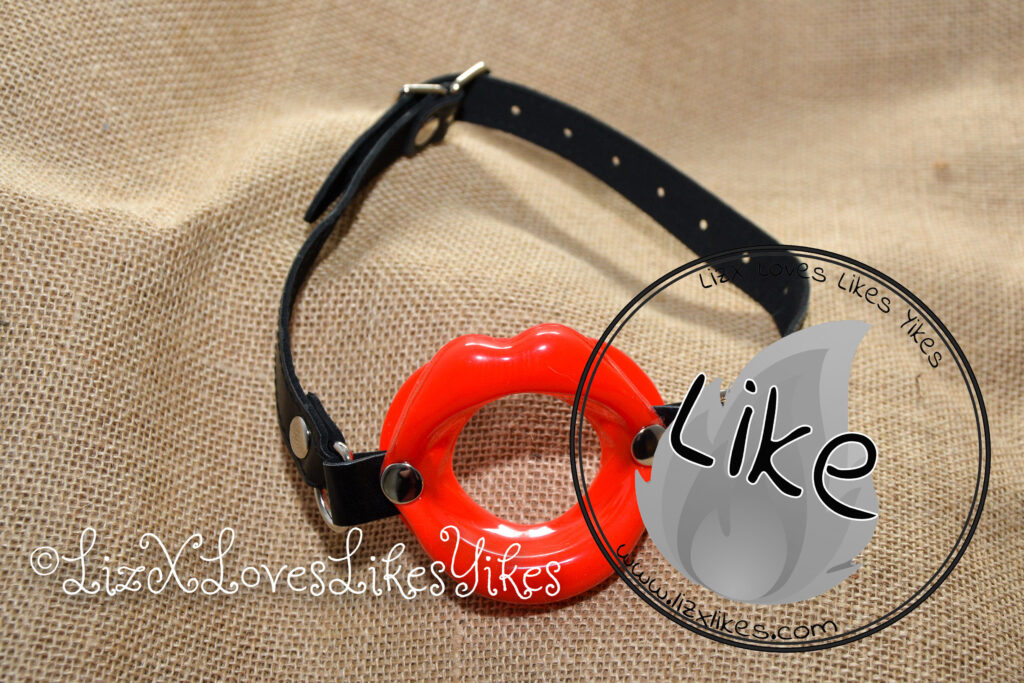 Review Red Lips Open Mouth Ring Gag Copyright LizxLikes.com Final verdict: Like