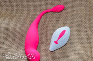 Review of Sohimi ELEVES Wearable Vibrator