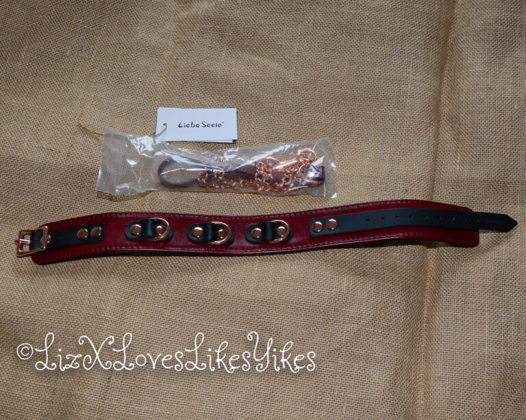 Review of Liebe Seele Wine Red Leather Collar with Leash, Rose Gold Metal Hardware Copyright Liz BlackX