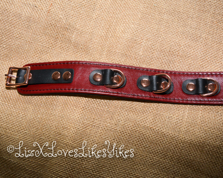 Review of Liebe Seele Wine Red Leather Collar with Leash, Rose Gold Metal Hardware Copyright Liz BlackX
