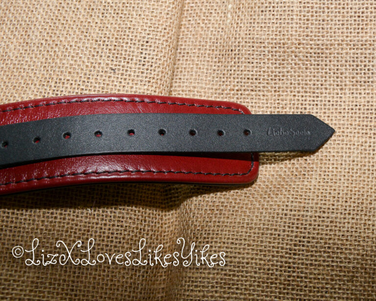 Review of Liebe Seele Wine Red Leather Collar with Leash, Rose Gold Metal Hardware Copyright Liz BlackX