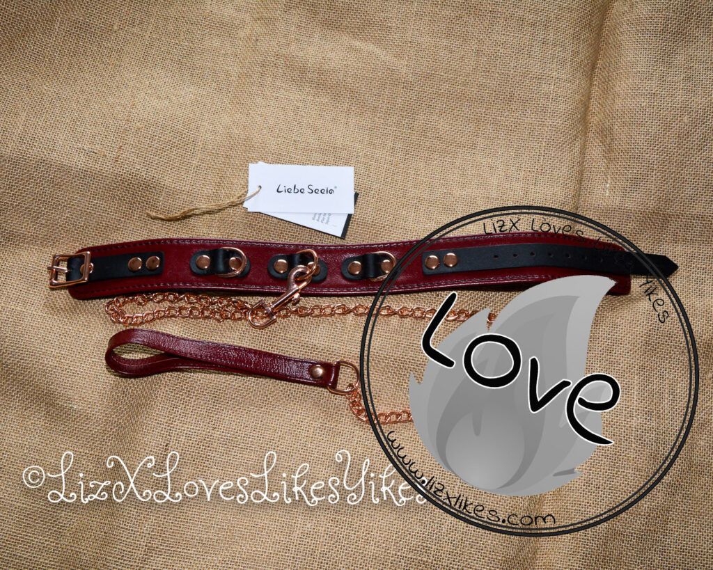 Review of Liebe Seele Wine Red Leather Collar with Leash, Rose Gold Metal Hardware Copyright Liz BlackX