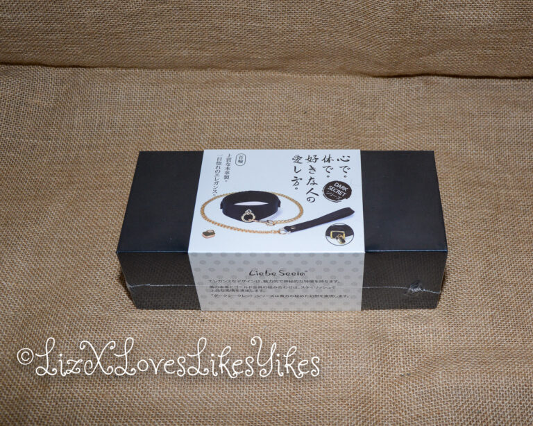 Review of Liebe Seele Dark Secret Deluxe Curved Collar with Chain Leash and Lock Copyright Liz BlackX