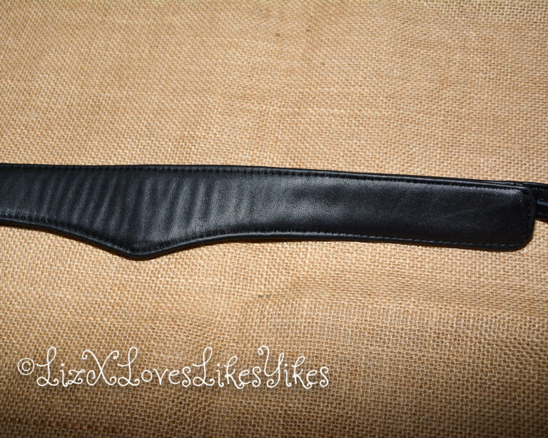 Review of Liebe Seele Dark Secret Deluxe Curved Collar with Chain Leash and Lock Copyright Liz BlackX