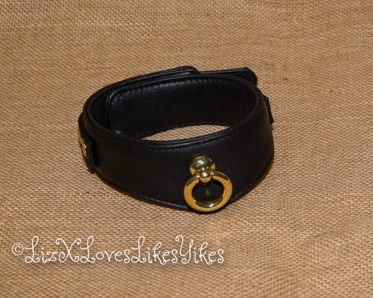Review of Liebe Seele Dark Secret Deluxe Curved Collar with Chain Leash and Lock Copyright Liz BlackX