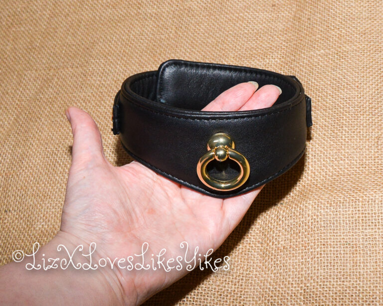 Review of Liebe Seele Dark Secret Deluxe Curved Collar with Chain Leash and Lock Copyright Liz BlackX