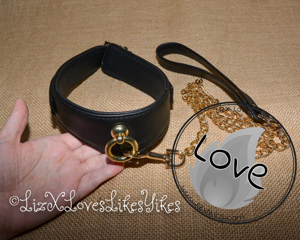 Review of Liebe Seele Dark Secret Deluxe Curved Collar with Chain Leash and Lock Copyright Liz BlackX