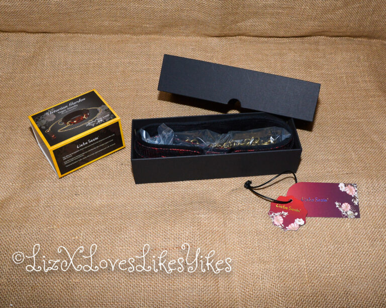 Review of the Liebe Seele Victorian Garden Lace and Velvet Collar with Chain Leash