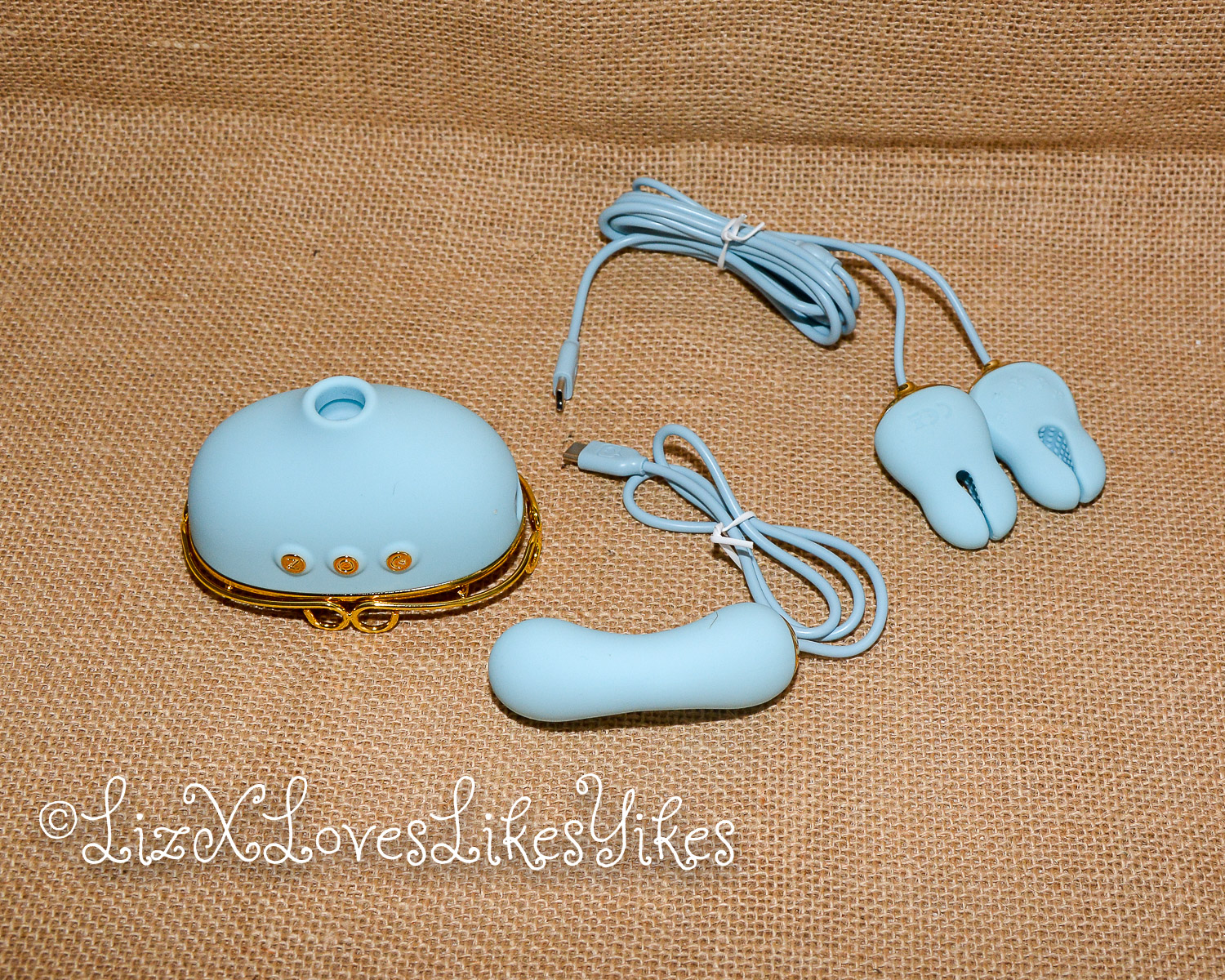 Review of Svakom Retro Telephone Massager Copyright Liz BlackX