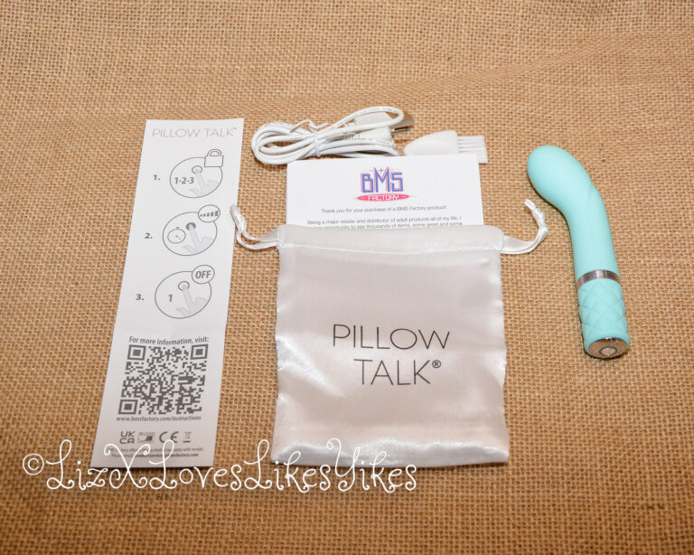 The full set of accessories Review of Pillow Talk Racy G-spot Vibrator - Teal Copyright Liz BlackX