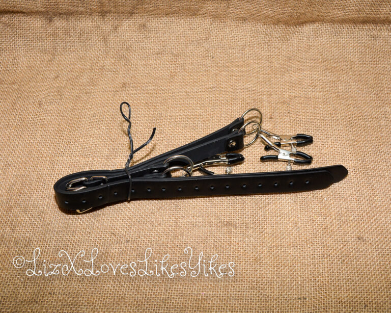 Review of the Clit Torturing Play Kit by Funzze.com Copyright Liz BlackX