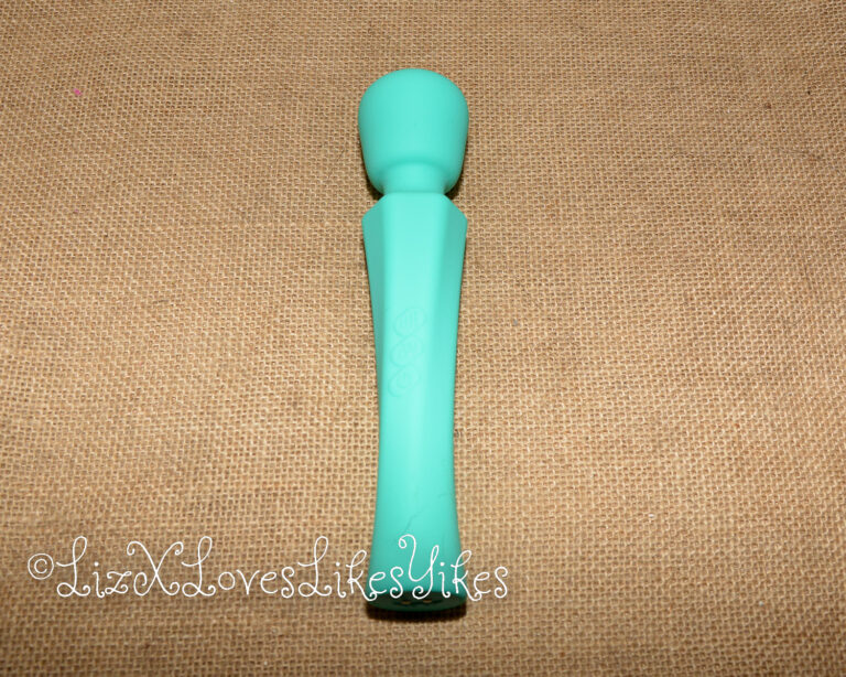 Review of Sweetensity Rechargeable Silicone Wand Vibrator Copyright Liz BlackX