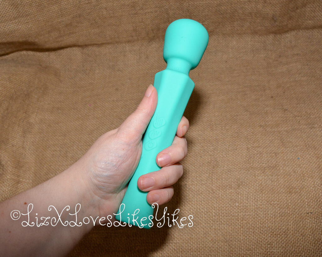 Review of Sweetensity Rechargeable Silicone Wand Vibrator Copyright Liz BlackX