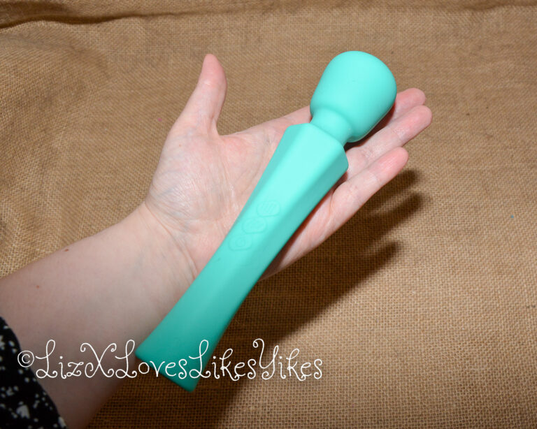 Review of Sweetensity Rechargeable Silicone Wand Vibrator Copyright Liz BlackX