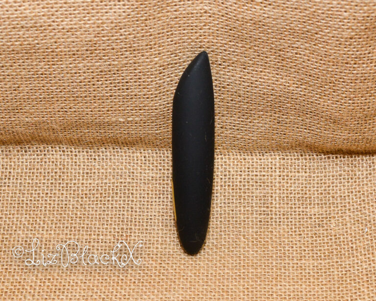 Review of the Samba lipstick vibrator by Nomi Tang Copyright Liz BlackX
