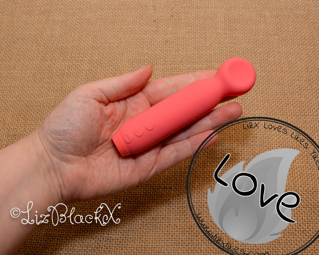 Review of the Vita by Je Joue Copyright Liz BlackX