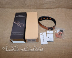 Review of the Rose Gold Memory Collar and Nipple Clamps by Liebe Seele Copyright Liz BlackX