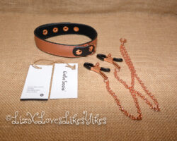 Review of the Rose Gold Memory Collar and Nipple Clamps by Liebe Seele Copyright Liz BlackX
