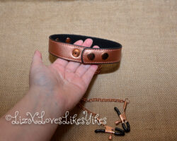 Review of the Rose Gold Memory Collar and Nipple Clamps by Liebe Seele Copyright Liz BlackX