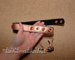 Review of the Rose Gold Memory Collar and Nipple Clamps by Liebe Seele Copyright Liz BlackX