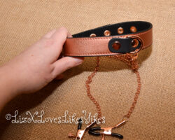 Review of the Rose Gold Memory Collar and Nipple Clamps by Liebe Seele Copyright Liz BlackX