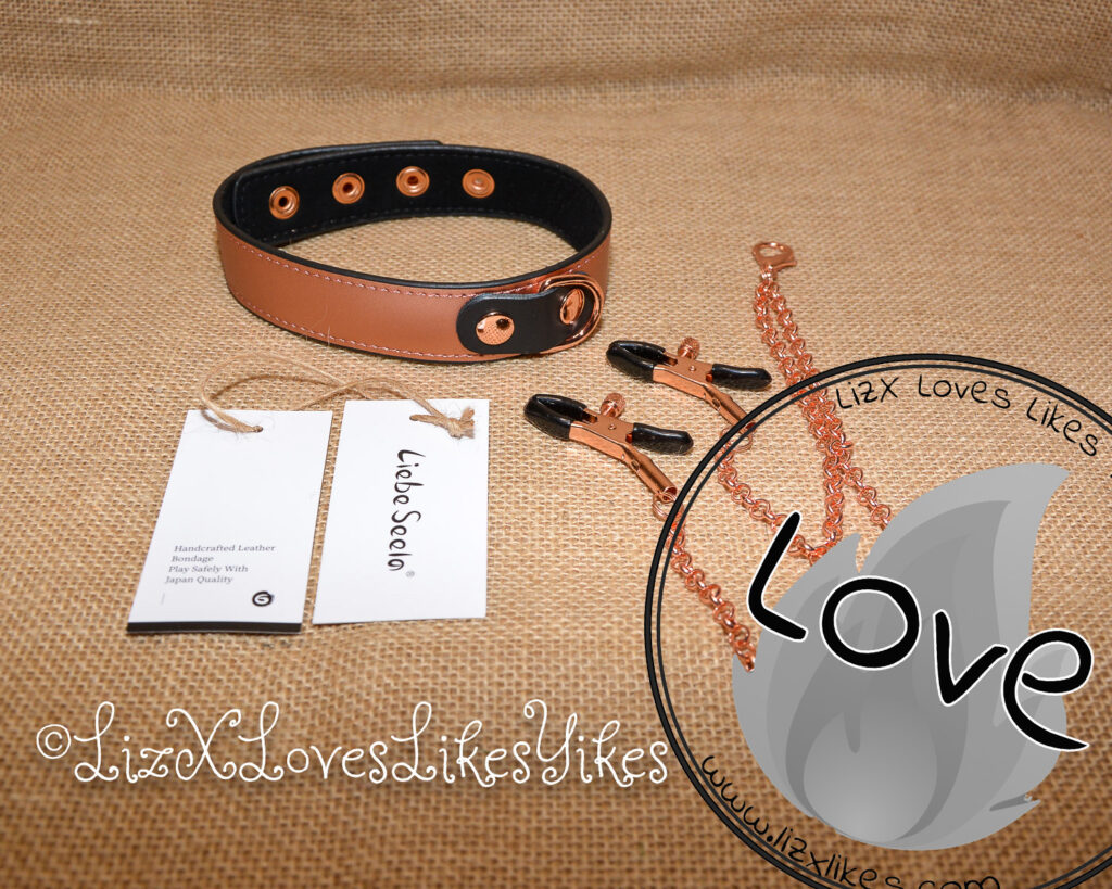 Review of the Rose Gold Memory Collar and Nipple Clamps by Liebe Seele Copyright Liz BlackX