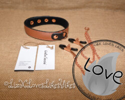 Review of the Rose Gold Memory Collar and Nipple Clamps by Liebe Seele Copyright Liz BlackX