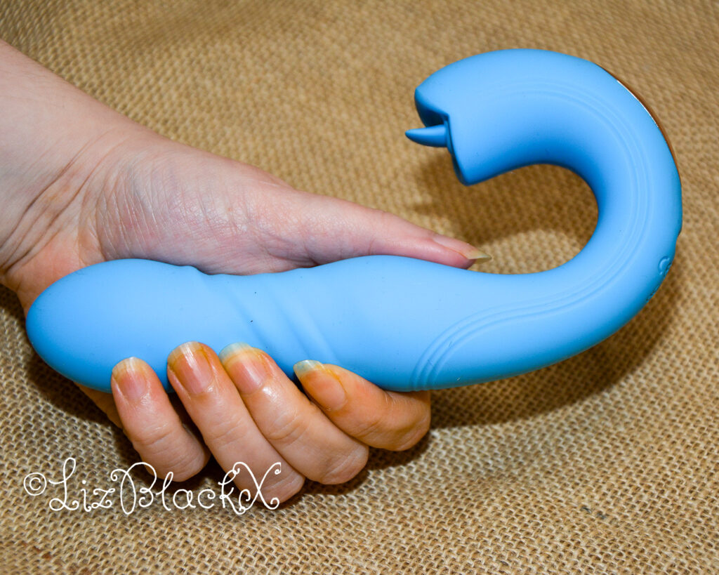 Review of the Joi Thrust by HoneyPlayBox Copyright Liz BlackX