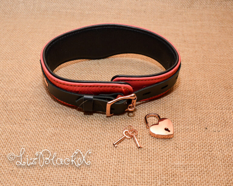 Seductively Secure: The Ultimate Review of the Angel's Kiss Leather Curved Collar from Liebe Seele Copyright LizBlackX