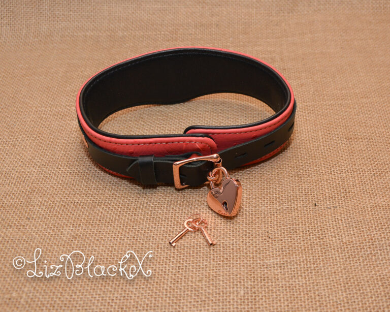 Seductively Secure: The Ultimate Review of the Angel's Kiss Leather Curved Collar from Liebe Seele Copyright LizBlackX