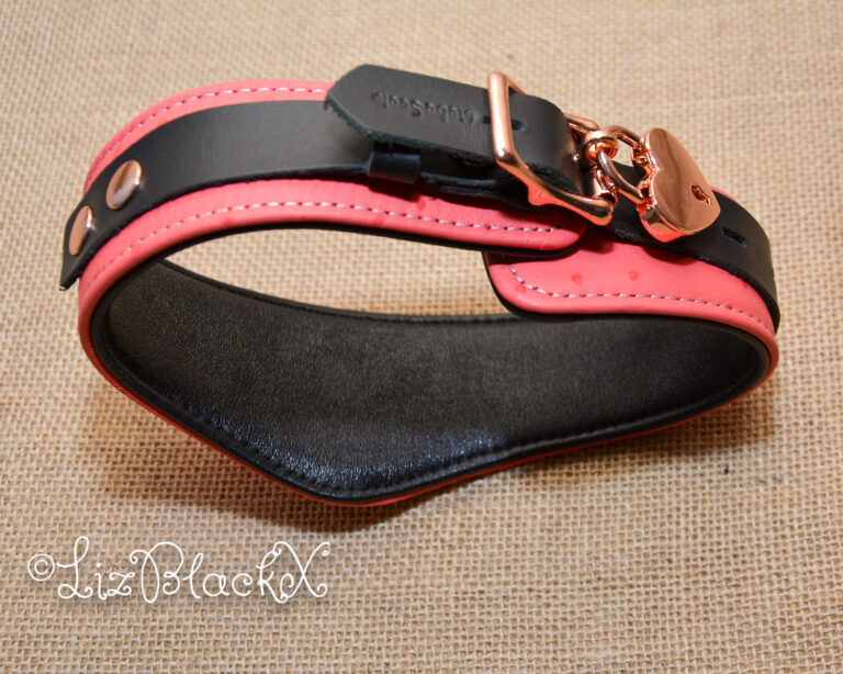 Seductively Secure: The Ultimate Review of the Angel's Kiss Leather Curved Collar from Liebe Seele Copyright LizBlackX
