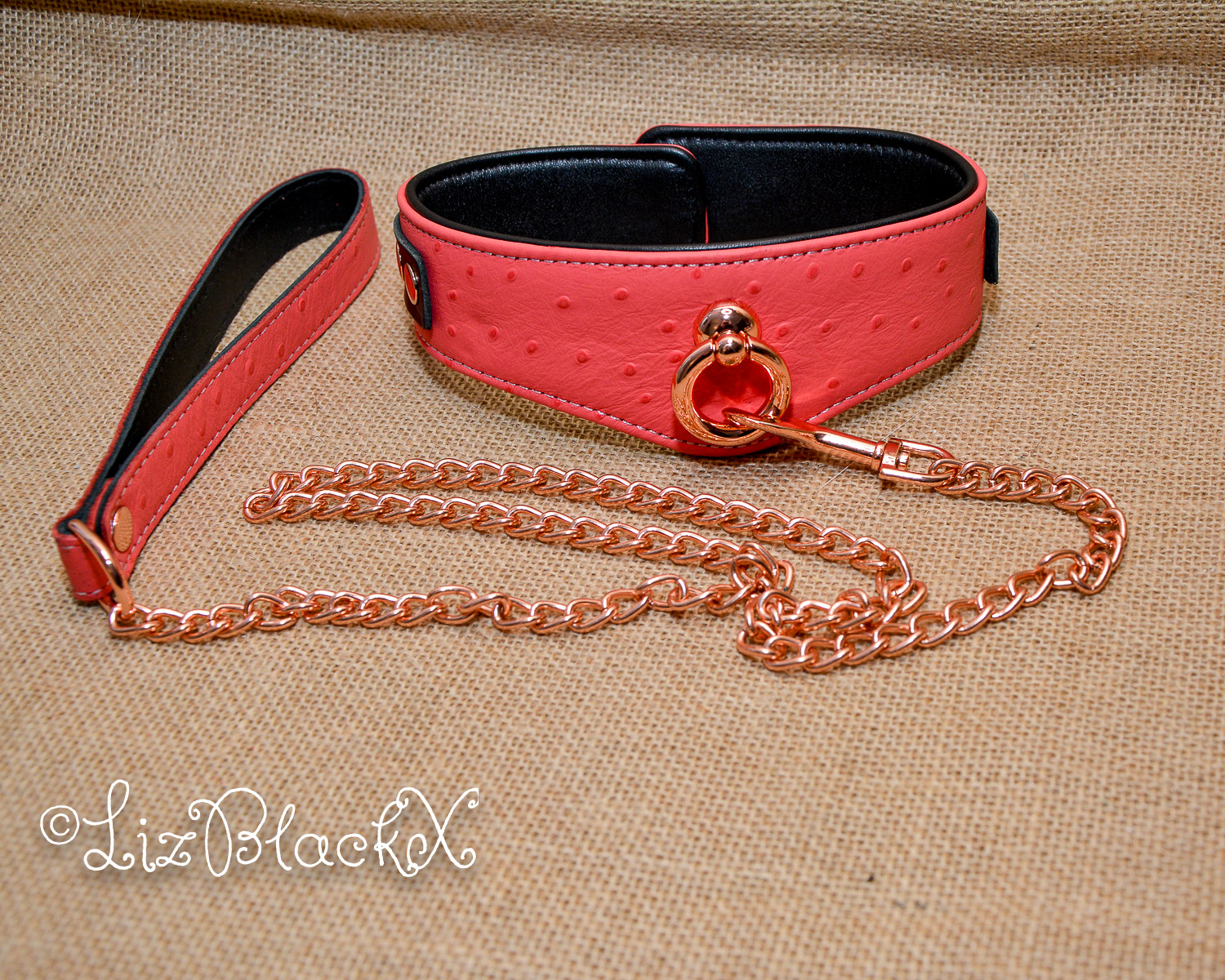 Seductively Secure: The Ultimate Review of the Angel’s Kiss Leather Curved Collar from Liebe Seele