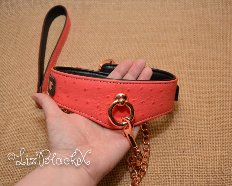 Seductively Secure: The Ultimate Review of the Angel's Kiss Leather Curved Collar from Liebe Seele Copyright LizBlackX