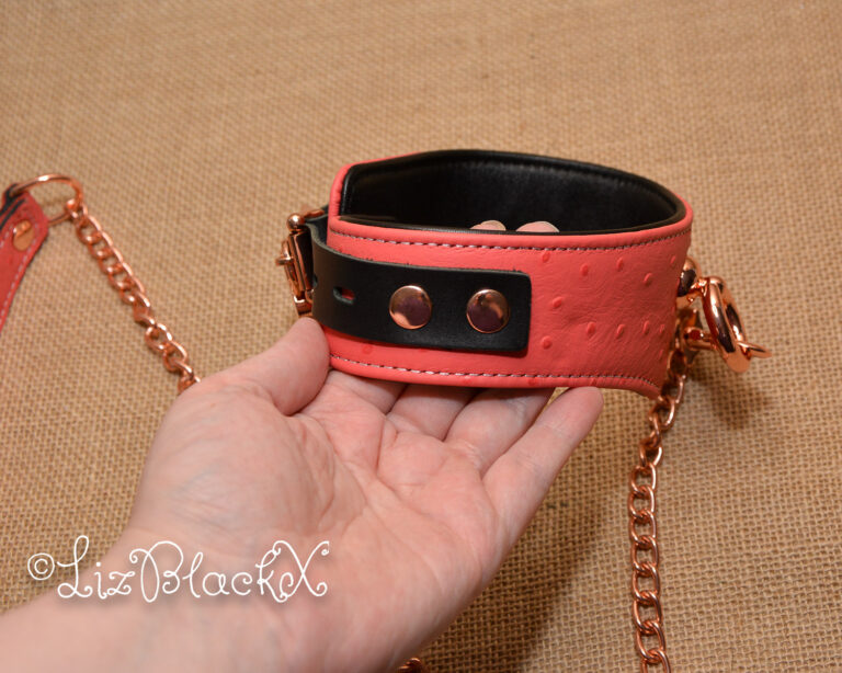 Seductively Secure: The Ultimate Review of the Angel's Kiss Leather Curved Collar from Liebe Seele Copyright LizBlackX