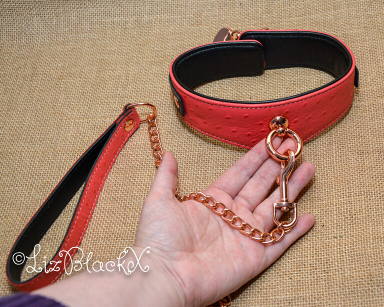 Seductively Secure: The Ultimate Review of the Angel's Kiss Leather Curved Collar from Liebe Seele Copyright LizBlackX