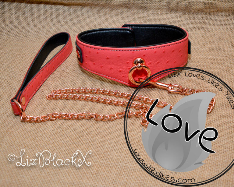 Seductively Secure: The Ultimate Review of the Angel's Kiss Leather Curved Collar from Liebe Seele Copyright LizBlackX