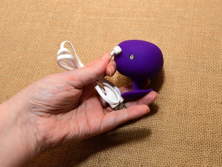 The Wellness Palm Sense Vibrator: A Mobility-Friendly Vibrator, Silent and Powerful for Everyone Copyright Liz BlackX