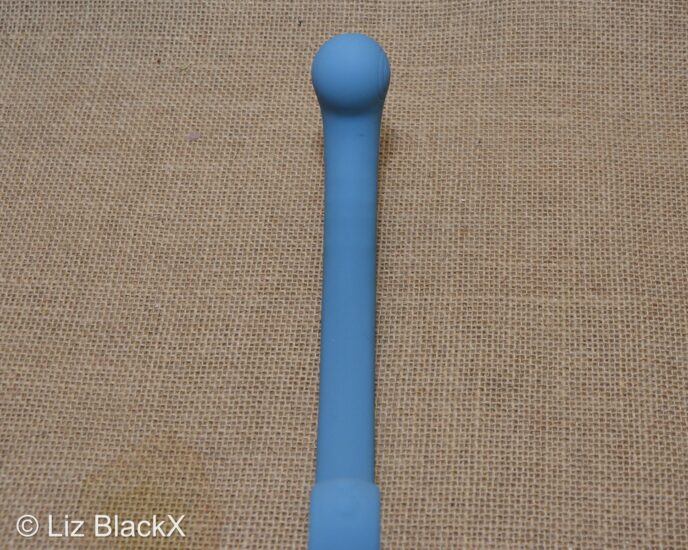 Best G-spot Vibrator? SVibe Axi Review for Beginners & Pros Copyright Liz BlackX